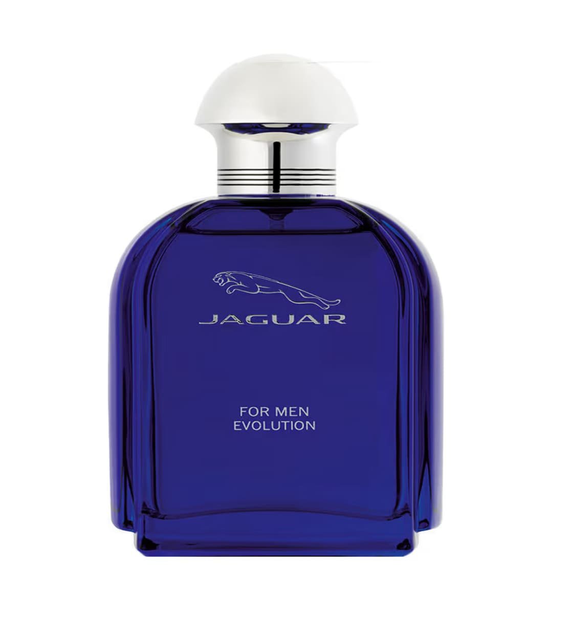 Manufacturer, Exporter, Importer, Supplier, Wholesaler, Retailer, Trader of Jaguar For Men Evolution Eau De Toilette in Gurgaon, Haryana, India.